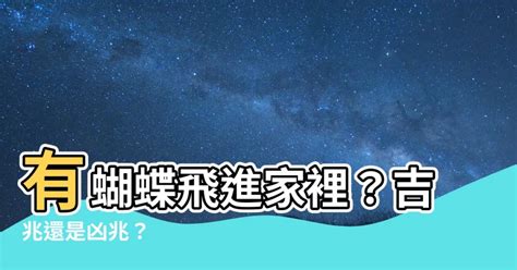 蝴蝶來家裡|【蝴蝶飛進家裏】驚！蝴蝶飛進家裡，原來是天大的吉兆，別不識。